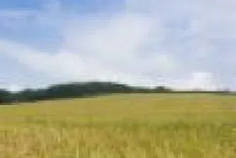 Селскостопанската продукция в Румъния по-ниска със 70% тази година