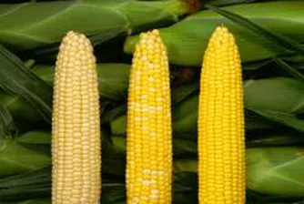 Нихат Кабил е на посещение в Украйна