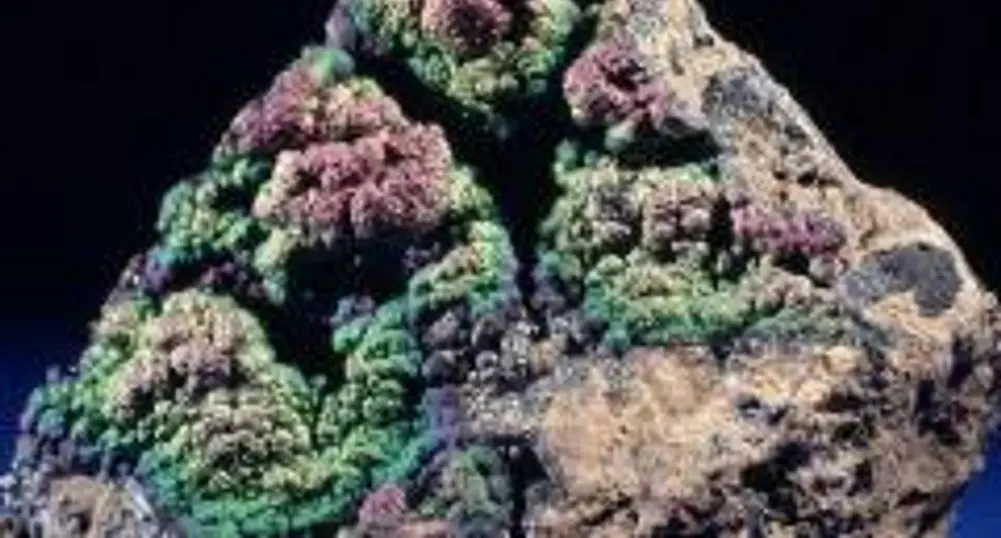 BHP Billiton се отказа от офертата си за Rio Tinto