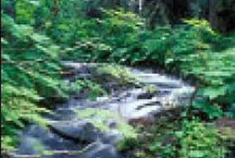 Около 5000 туристи повече са посетили Белоградчик за първото полугодие на годината