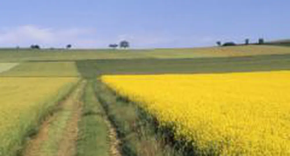 Нихат Кабил: Германия е подпомогнала страната ни с инвестиции за над 300 млн. евро