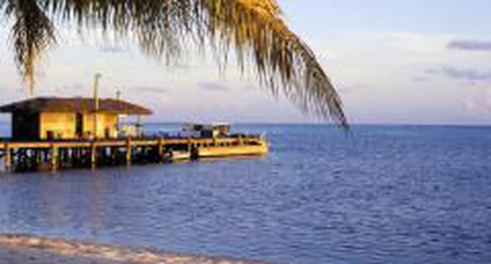 Вилата и апартаментът като алтернативи за почивка през лятото