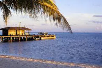 Вилата и апартаментът като алтернативи за почивка през лятото