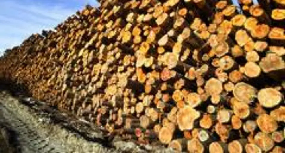 Финансовата криза удари мебелната индустрия