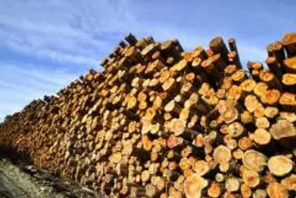 Финансовата криза удари мебелната индустрия