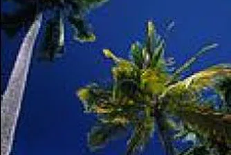 Почивките в луксозни хотели са демоде, търсят се частни острови