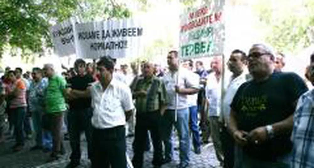 Започва изплащането на субсидиите за мляко за март