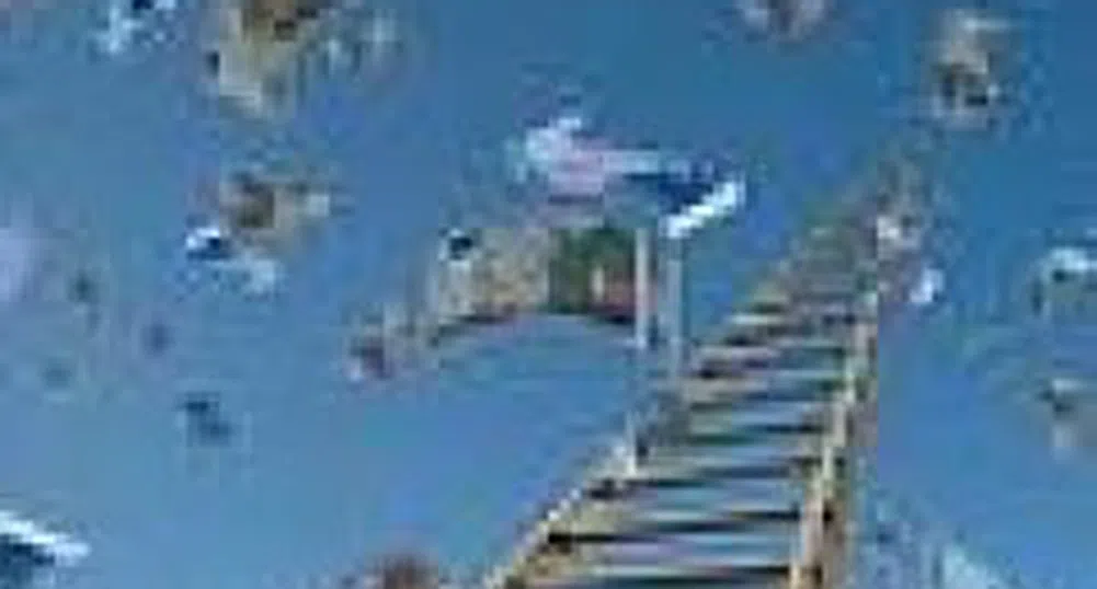 Big Collective Schemes Have About 27% of Assets In Cash