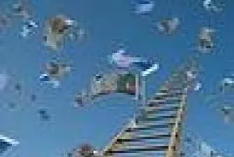 Big Collective Schemes Have About 27% of Assets In Cash