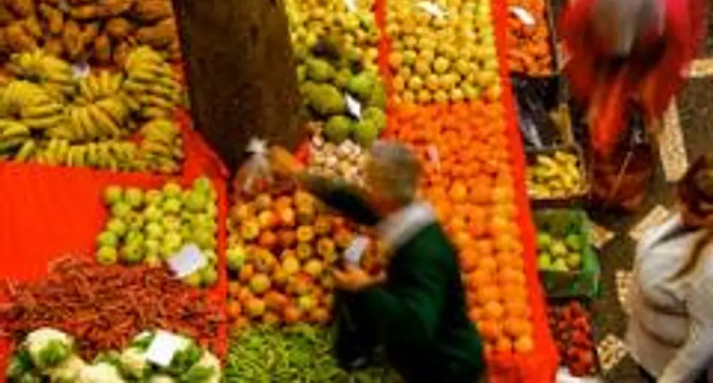 Португалия се справя по-добре от европейските си съседи