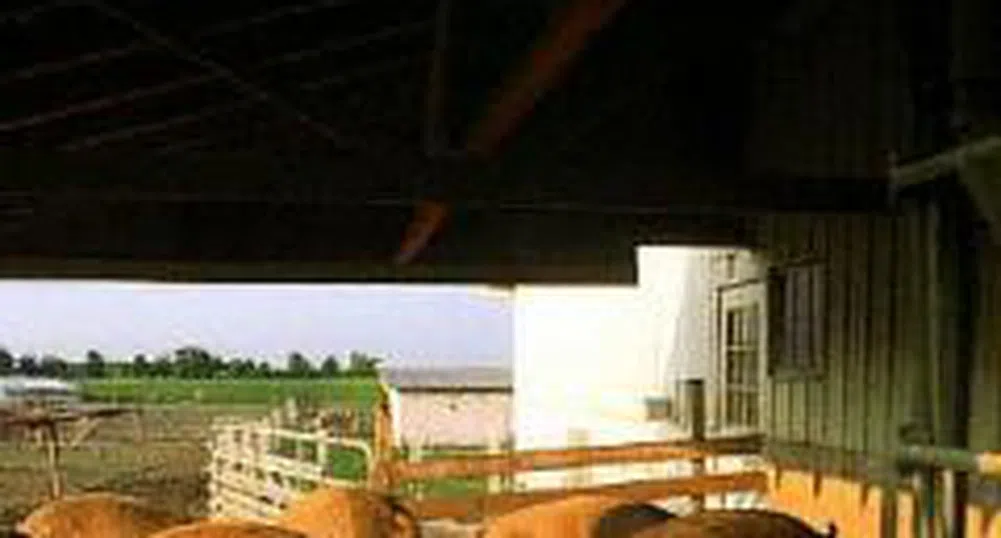 Румънските месопреработватели ще бъдат инспектирани от специалисти на ЕК