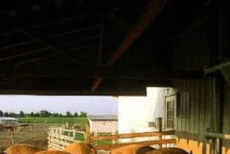 Румънските месопреработватели ще бъдат инспектирани от специалисти на ЕК