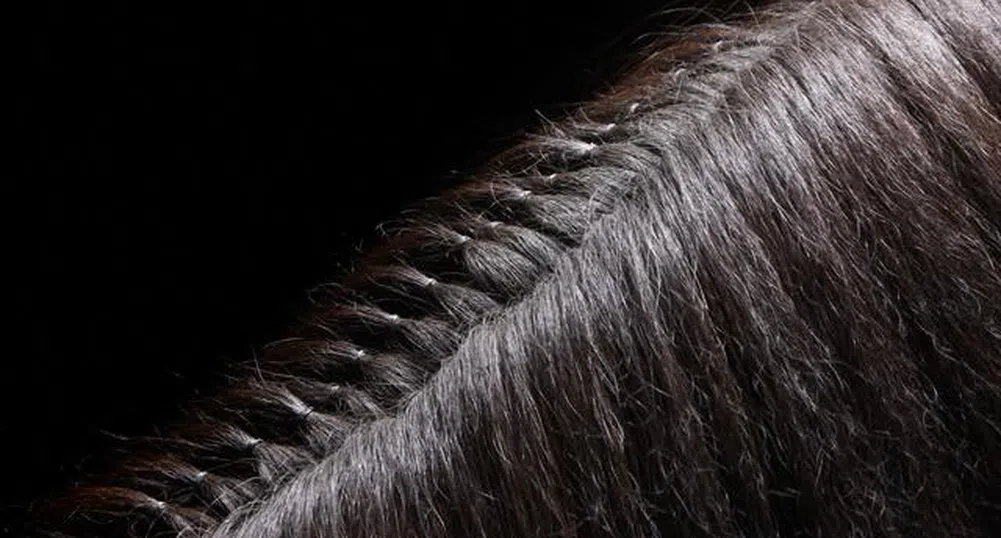 250 лв. за 100 грама естествена коса