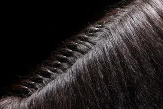 250 лв. за 100 грама естествена коса