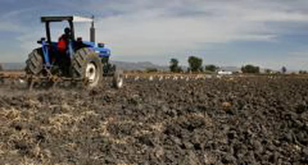 Agricultural Land Prices In Bulgaria Up 50% in The Past Three Months
