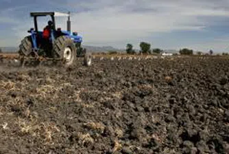 Agricultural Land Prices In Bulgaria Up 50% in The Past Three Months