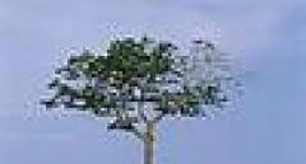 Shareholders In Darvoobrabotvane Approve A 25% Capital Increase