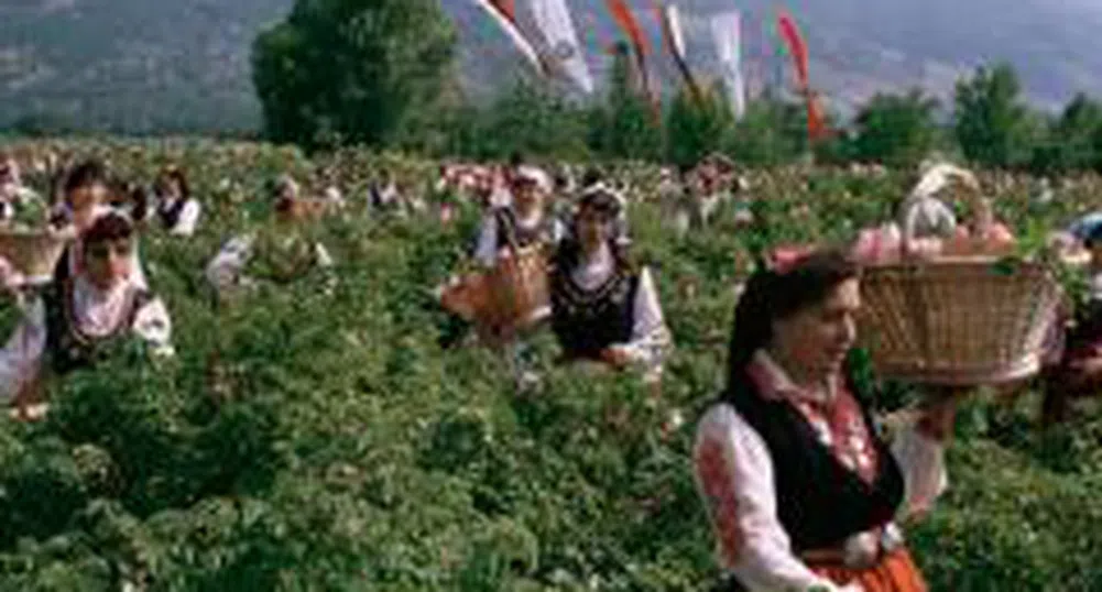 Пловдивски фермери ще отглеждат японски култури