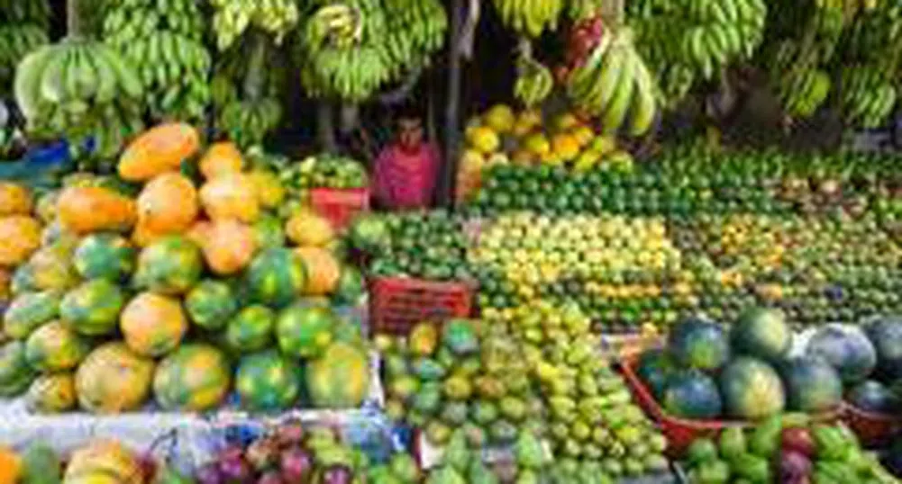 Record-high Food Prices Reported in YoY Comparison