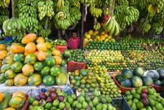 Record-high Food Prices Reported in YoY Comparison