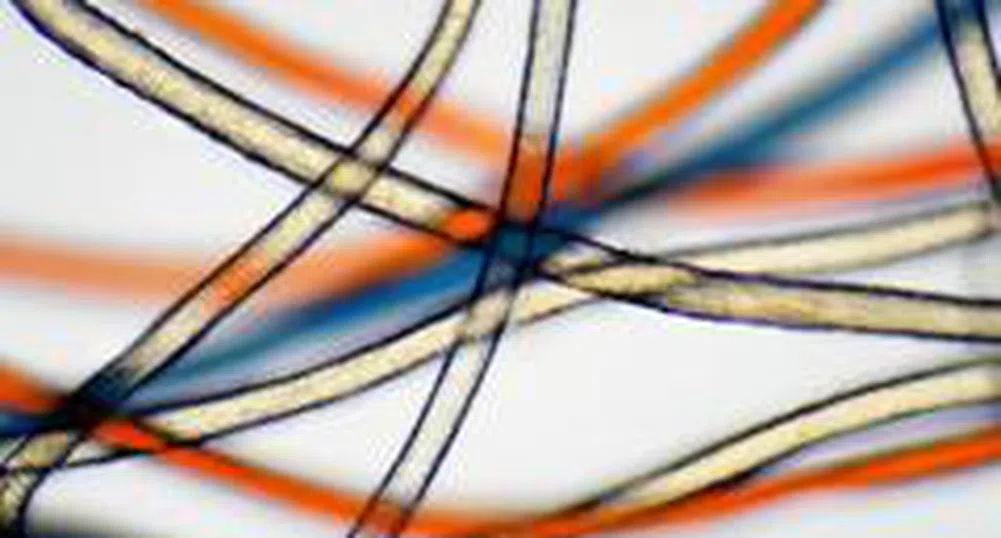 Decotex Ends Q1 At a Loss