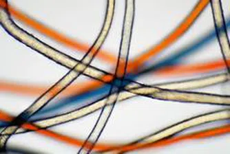 Decotex Ends Q1 At a Loss