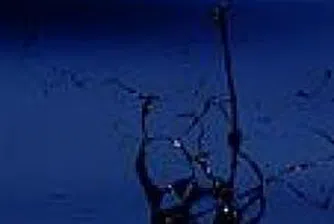 Петролът с лек ръст по време на азиатската си търговия