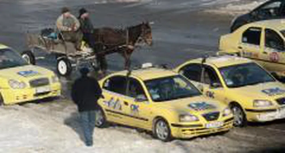 Чужденци избират символ на България