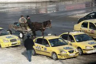 Чужденци избират символ на България