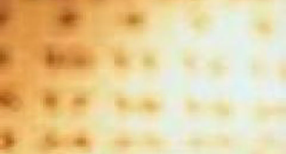 Business Calendar For The Week November 12 – 18