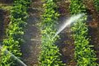 Брюксел отпусна 510 милиона евро за преструктуриране на европейските лозя