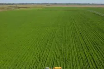 Кризата в селското стопанство се прикрива, твърдят от Асоциацията на селата