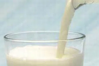 Производители от Великотърновско разляха около 700 литра мляко в знак на протест