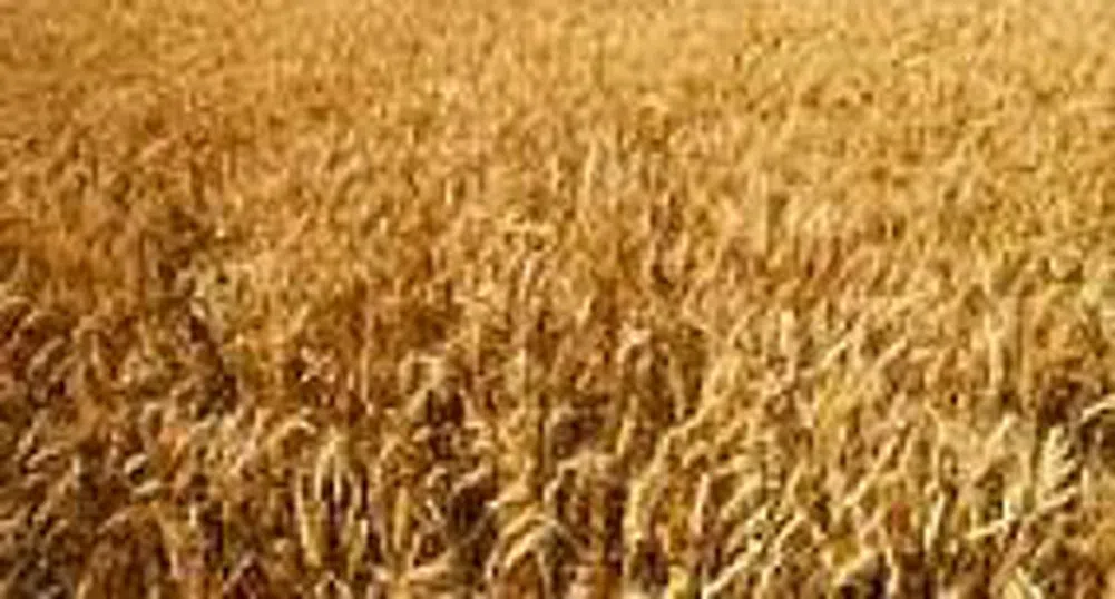 МЗХ представи годишния си доклад по Програмата за развитие на селските райони