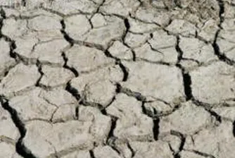 Започна изплащането на компенсациите на земеделските производители заради сушата