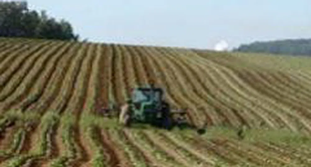 Цената на обработваемата земя във Великобритания с рекорден ръст от началото на 2008 г.