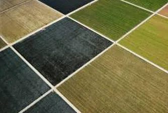 Agricultural Land – The Most Promising Segment Within the Real Estate Sector