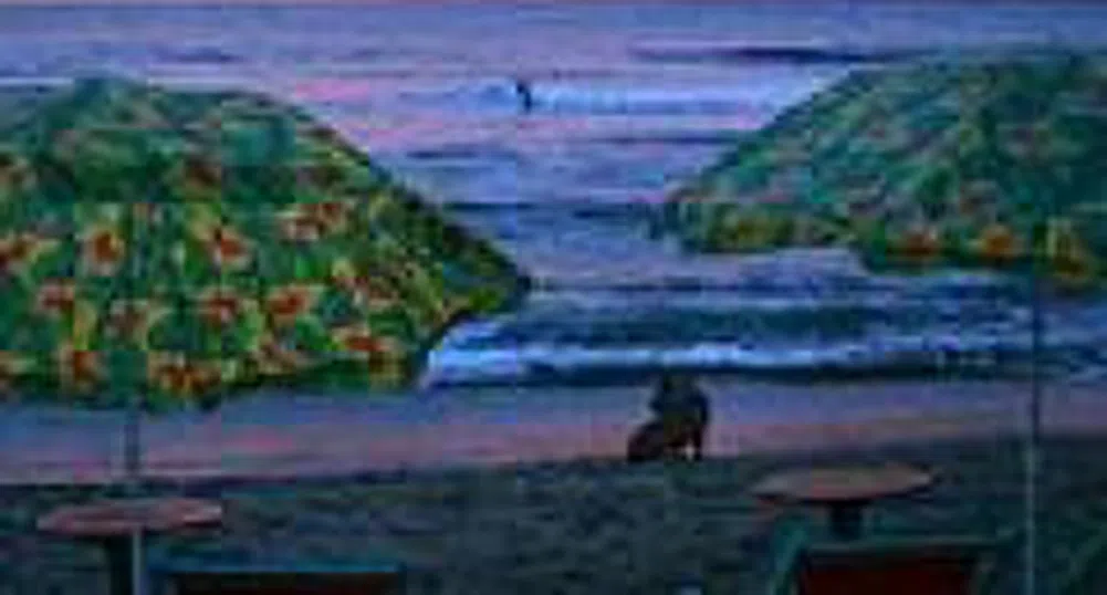 От 10 на 20 години да се удължи срокът за отдаването на плажовете на концесия