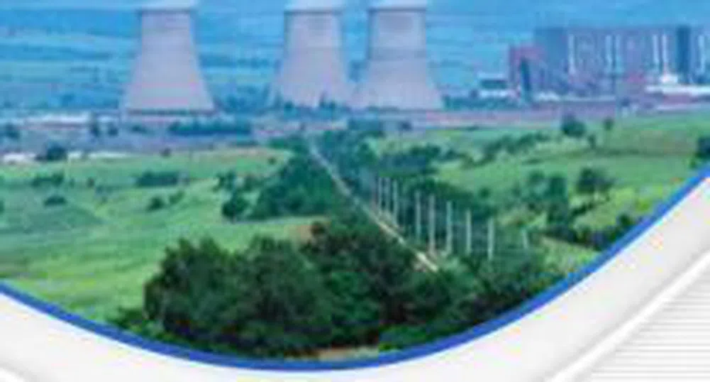 The Privatization Agency Sold Bobov Dol Power Plant For 100 Million Leva