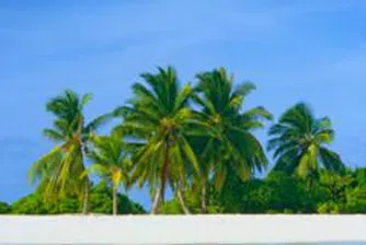 Русия планира да построи изкуствен остров за $6 млрд. за олимпиадата в Сочи