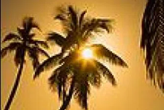 Близо 5% е ръстът на чуждестранните туристи, посетили България от началото на годината