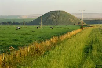 Брюксел плаши с глоби българските фермери