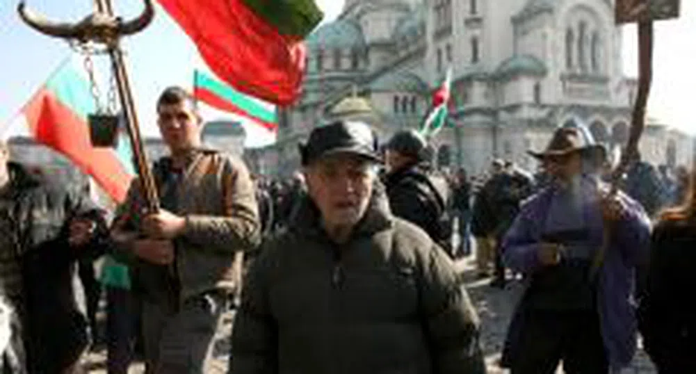 Мирен протест на млекопроизводителите провеждат днес