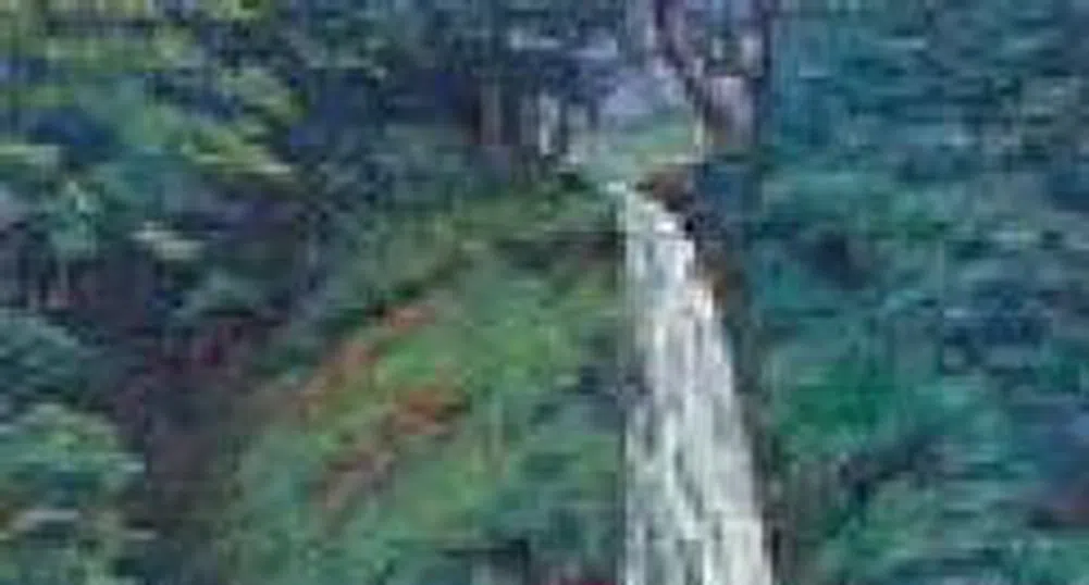 Обявяват процедура за кандидатстване за финансовия инструмент на ЕК за околна среда