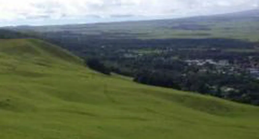 More Than 2.2 Mln Rights of Agro Finance REIT To Be Auctioned Off