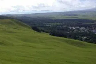 More Than 2.2 Mln Rights of Agro Finance REIT To Be Auctioned Off