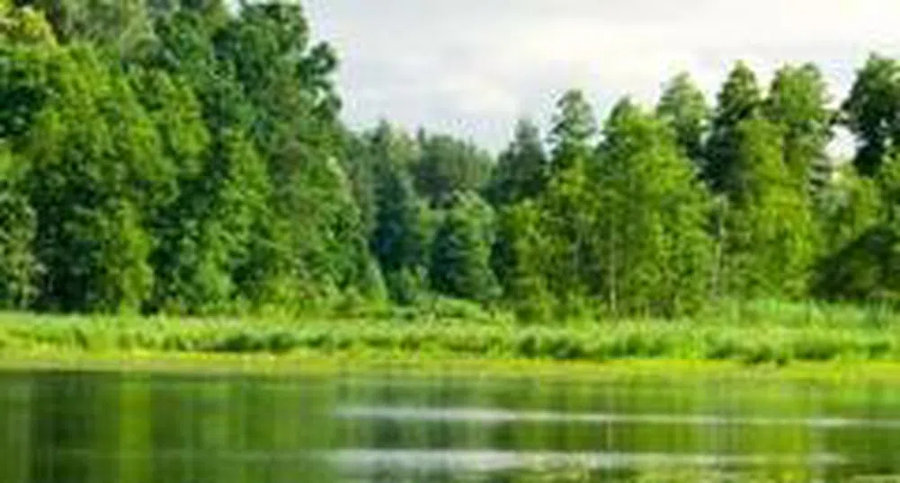 Svilosa Jsc Plans A Media Tour in May