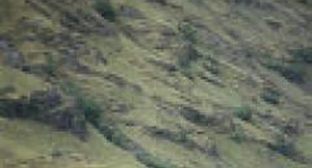 Няма нарушения на заповедта на министър Чакъров при проверка по сигнал за строителни работи в Иракли