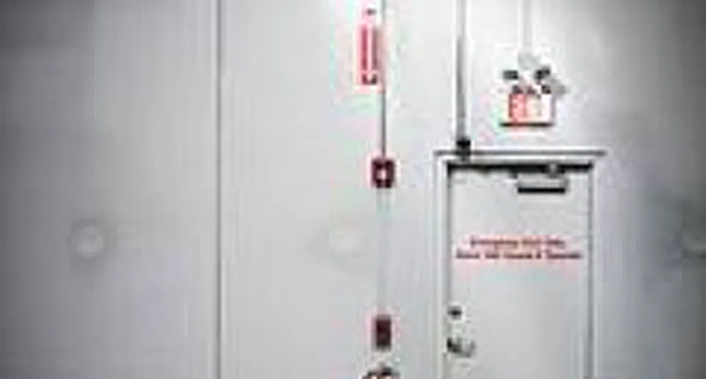 Стаите-убежища параноя или необходимост