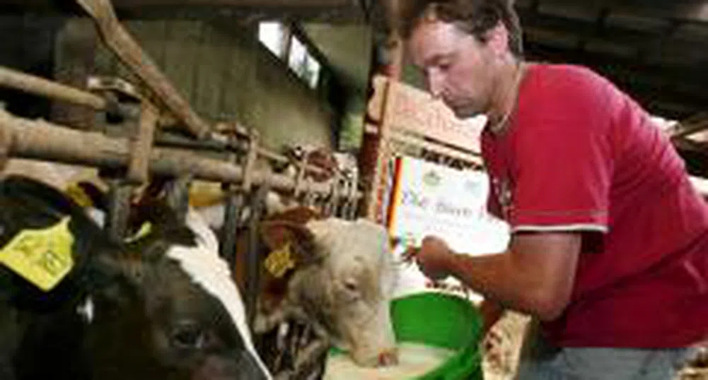 От Европейския парламент искат по-млади фермери